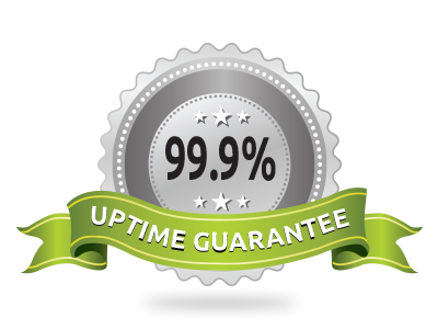 Segurança de tempo de uptime do servidor de 99.9%